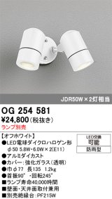 画像: オーデリック　OG254581　エクステリアスポットライト LED 防雨型 オフホワイト ランプ別売