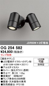 画像: オーデリック　OG254582　エクステリアスポットライト LED 防雨型 黒色サテン ランプ別売