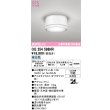 画像1: オーデリック OG254598NR(ランプ別梱) エクステリア ポーチライト LEDランプ 昼白色 高演色LED 防雨型 オフホワイト (1)