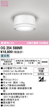 画像: オーデリック OG254598NR(ランプ別梱) エクステリア ポーチライト LEDランプ 昼白色 高演色LED 防雨型 オフホワイト