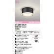 画像1: オーデリック OG254599LR(ランプ別梱) エクステリア ポーチライト LEDランプ 電球色 高演色LED 防雨型 黒色 (1)