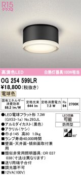 画像: オーデリック OG254599LR(ランプ別梱) エクステリア ポーチライト LEDランプ 電球色 高演色LED 防雨型 黒色