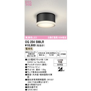 画像: オーデリック OG254599LR(ランプ別梱) エクステリア ポーチライト LEDランプ 電球色 高演色LED 防雨型 黒色