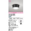 画像1: オーデリック OG254599NR(ランプ別梱) エクステリア ポーチライト LEDランプ 昼白色 高演色LED 防雨型 黒色 (1)