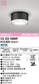 画像: オーデリック OG254599NR(ランプ別梱) エクステリア ポーチライト LEDランプ 昼白色 高演色LED 防雨型 黒色