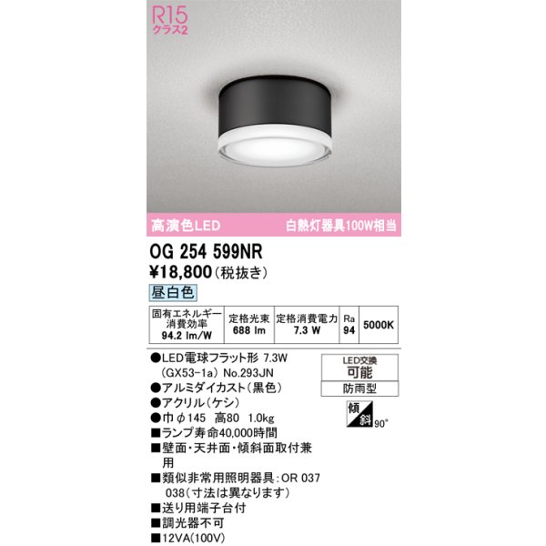 画像1: オーデリック OG254599NR(ランプ別梱) エクステリア ポーチライト LEDランプ 昼白色 高演色LED 防雨型 黒色 (1)
