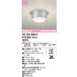 画像1: オーデリック OG254600LR(ランプ別梱) エクステリア ポーチライト LEDランプ 電球色 高演色LED 防雨型 マットシルバー (1)