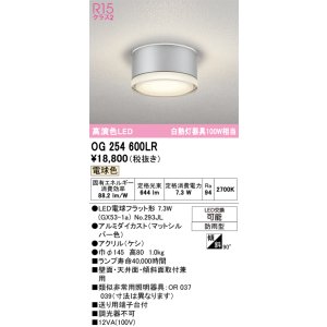 画像: オーデリック OG254600LR(ランプ別梱) エクステリア ポーチライト LEDランプ 電球色 高演色LED 防雨型 マットシルバー