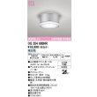 画像1: オーデリック OG254600NR(ランプ別梱) エクステリア ポーチライト LEDランプ 昼白色 高演色LED 防雨型 マットシルバー (1)
