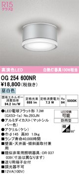 画像: オーデリック OG254600NR(ランプ別梱) エクステリア ポーチライト LEDランプ 昼白色 高演色LED 防雨型 マットシルバー