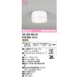 画像1: オーデリック OG254601LR(ランプ別梱) エクステリア ポーチライト LEDランプ 電球色 高演色LED 防雨型 オフホワイト (1)