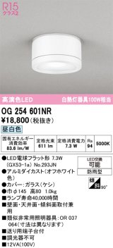 画像: オーデリック OG254601NR(ランプ別梱) エクステリア ポーチライト LEDランプ 昼白色 高演色LED 防雨型 オフホワイト