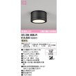 画像1: オーデリック OG254602LR(ランプ別梱) エクステリア ポーチライト LEDランプ 電球色 高演色LED 防雨型 黒色 (1)