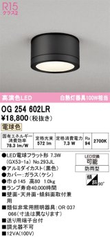 画像: オーデリック OG254602LR(ランプ別梱) エクステリア ポーチライト LEDランプ 電球色 高演色LED 防雨型 黒色