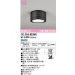 画像1: オーデリック OG254602NR(ランプ別梱) エクステリア ポーチライト LEDランプ 昼白色 高演色LED 防雨型 黒色 (1)