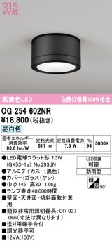 画像: オーデリック OG254602NR(ランプ別梱) エクステリア ポーチライト LEDランプ 昼白色 高演色LED 防雨型 黒色