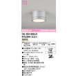画像1: オーデリック OG254603LR(ランプ別梱) エクステリア ポーチライト LEDランプ 電球色 高演色LED 防雨型 マットシルバー (1)