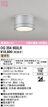 画像: オーデリック OG254603LR(ランプ別梱) エクステリア ポーチライト LEDランプ 電球色 高演色LED 防雨型 マットシルバー