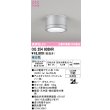 画像1: オーデリック OG254603NR(ランプ別梱) エクステリア ポーチライト LEDランプ 昼白色 高演色LED 防雨型 マットシルバー (1)