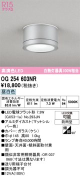 画像: オーデリック OG254603NR(ランプ別梱) エクステリア ポーチライト LEDランプ 昼白色 高演色LED 防雨型 マットシルバー