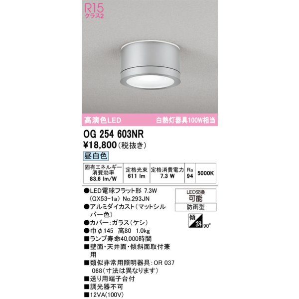 画像1: オーデリック OG254603NR(ランプ別梱) エクステリア ポーチライト LEDランプ 昼白色 高演色LED 防雨型 マットシルバー (1)