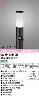 画像: オーデリック　OG254655NCR(ランプ別梱)　エクステリア ガーデンライト LEDランプ 昼白色 人感センサー付 防雨型 ブラック