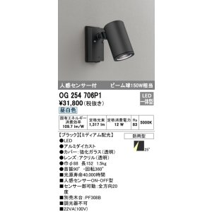 画像: オーデリック　OG254706P1　エクステリアスポットライト LED一体型 昼白色 ビーム球150W相当 ミディアム配光 防雨型 黒