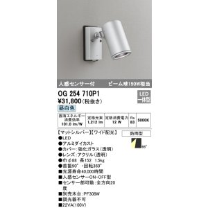 画像: オーデリック　OG254710P1　エクステリアスポットライト LED一体型 昼白色 ビーム球150W相当 ワイド配光 防雨型 マットシルバー