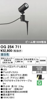 画像: オーデリック　OG254711　エクステリアスポットライト LED一体型 昼白色 ミディアム配光 防雨型 ブラック