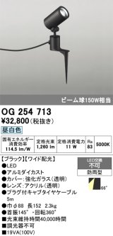 画像: オーデリック　OG254713　エクステリアスポットライト LED一体型 昼白色 ワイド配光 防雨型 ブラック