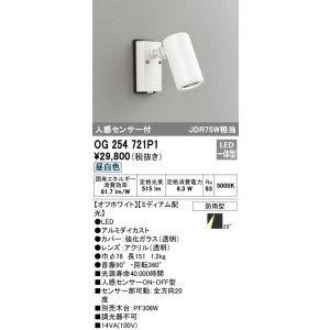 画像: オーデリック　OG254721P1　エクステリアスポットライト LED一体型 昼白色 JDR75W相当 ミディアム配光 防雨型 オフホワイト
