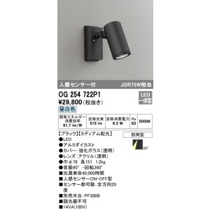 画像: オーデリック　OG254722P1　エクステリアスポットライト LED一体型 昼白色 JDR75W相当 ミディアム配光 防雨型 黒