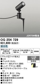 画像: オーデリック　OG254729　エクステリアスポットライト LED一体型 昼白色 ワイド配光 防雨型 ブラック
