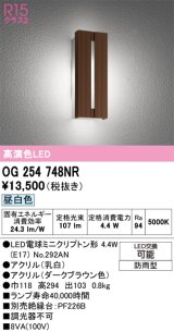 画像: オーデリック　OG254748NR(ランプ別梱)　エクステリア ポーチライト LEDランプ 昼白色 防雨型 ダークブラウン