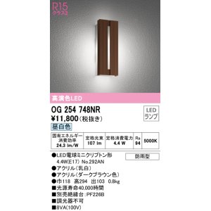 画像: オーデリック　OG254748NR(ランプ別梱)　エクステリア ポーチライト LEDランプ 昼白色 防雨型 ダークブラウン