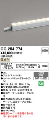 画像: オーデリック　OG254774　間接照明 LED一体型 非調光 電球色 接続線別売 防雨・防湿型 L1200タイプ