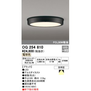 画像: オーデリック　OG254810　エクステリアダウンライト LED一体型 非調光 電球色 ブラック 防雨型