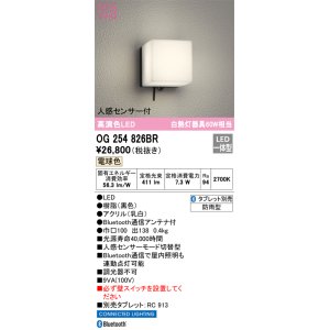 画像: オーデリック　OG254826BR　エクステリア ポーチライト Bluetooth タブレット別売 LED一体型 電球色 人感センサー付 防雨型 ブラック