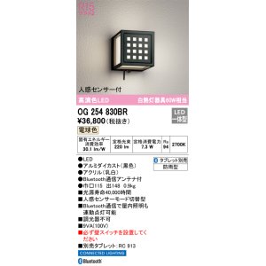 画像: オーデリック　OG254830BR　エクステリア ポーチライト Bluetooth タブレット別売 LED一体型 電球色 人感センサー付 防雨型 ブラック