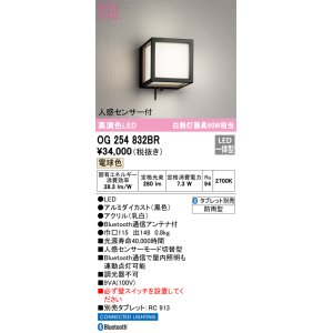画像: オーデリック　OG254832BR　エクステリア ポーチライト Bluetooth タブレット別売 LED一体型 電球色 人感センサー付 防雨型 ブラック