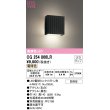 画像1: オーデリック　OG254866LR(ランプ別梱)　エクステリア ポーチライト LEDランプ 電球色 防雨型 ブラック ￡ (1)