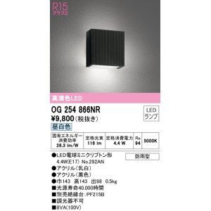 画像: オーデリック　OG254866NR(ランプ別梱)　エクステリア ポーチライト LEDランプ 昼白色 防雨型 ブラック
