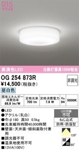 画像: オーデリック　OG254873R　バスルームライト 非調光 LED一体型 昼白色防雨・防湿型 [￡]
