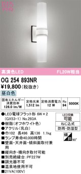 画像: オーデリック　OG254893NR(ランプ別梱)　エクステリア ポーチライト LEDランプ 昼白色 防雨・防湿型 オフホワイト