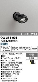 画像: オーデリック　OG254901　エクステリアスポットライト LED一体型 昼白色 ミディアム配光 防雨型 黒