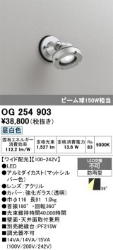 画像: オーデリック　OG254903　エクステリアスポットライト LED一体型 昼白色 ワイド配光 防雨型 マットシルバー