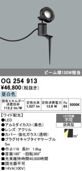 画像: オーデリック　OG254913　エクステリアスポットライト LED一体型 昼白色 埋込200 ワイド配光 防雨型 黒