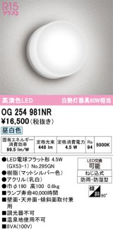 画像: オーデリック　OG254981NR(ランプ別梱)　エクステリア ポーチライト LEDランプ 昼白色 防雨・防湿型 マットホワイト