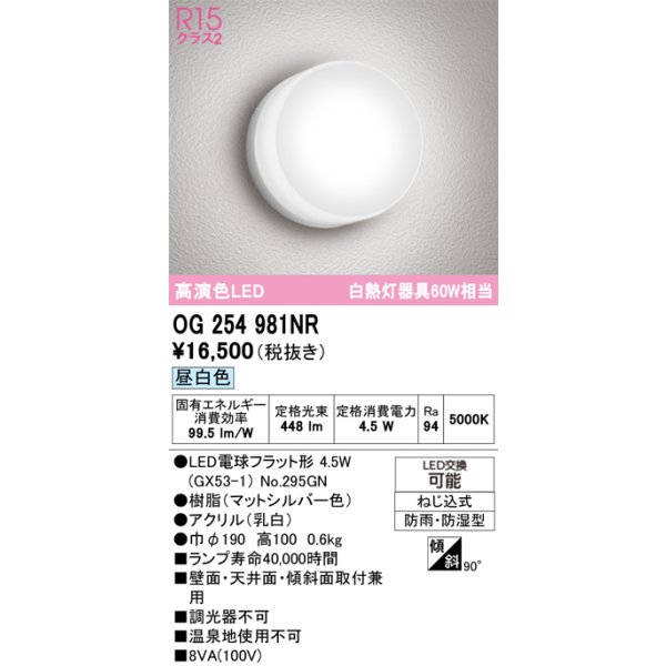 og254981nr