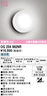 画像: オーデリック　OG254982NR(ランプ別梱)　エクステリア ポーチライト LEDランプ 昼白色 防雨・防湿型 ブラック